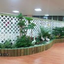 우솔초등학교 이미지