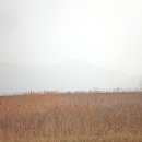 벌교생태공원 이미지