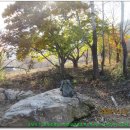 무학1리마을회관 이미지