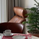 스테이 미엘 이미지