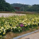 ㈜한국인삼공사 고려인삼창