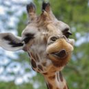 일본어생활회화 이미지