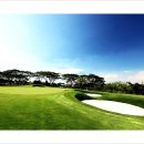 그린필드 이미지