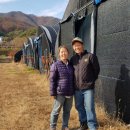 도은농장 이미지