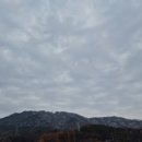청솔팜 이미지
