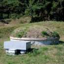 황박 묘 이미지