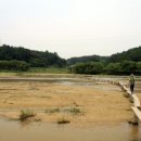 영주수도리김정규가옥 Daum카페