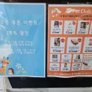 펫클럽춘천 - 춘천시 영서로 2153 | 펫클럽춘천