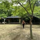 주목나무집 이미지