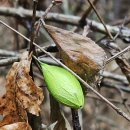 하늘재길 이미지