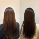 남부순환로 | 대치역미용실 에코쟈뎅 대치테라스점에서 클리닉 받은 후기!