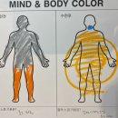 비슈다 | 하체 무거움이 순환으로 바뀐 요가 개인레슨 후기｜기침 후 몸이 가벼워진 이유