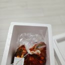 싱싱팜직송 솔직리뷰 오늘은 짜파게티에 파김치