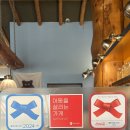 베이컨가평 | 가평 델씨엘로 방문 후기 – 12년의 내공이 담긴 화덕피자와 파스타