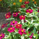 (주)휴로믹스 이미지