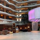 금보 | [제주 해비치호텔/바99] 해비치 BAR 99 &amp; 금보수산 회 배달! 갓벽했던 표선의 밤✨