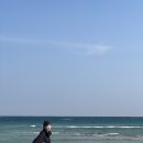 성산오일시장 | 2026년 1월 - 🇰🇷 제주도 - 성산일출봉, 사려니숲길, 동백수목원, 세화오일장