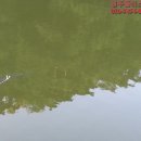 명지낚시터 이미지