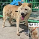 신암면041 이미지