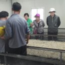 동해곤충농장 이미지