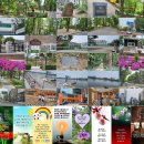 압구정동에 있는 압구정 정자터를 다녀와서 이미지