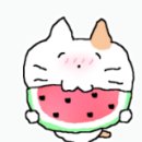 시원냉동공조 이미지