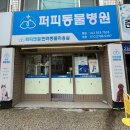 퍼피엔젤 반려동물 미용실 이미지