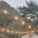 더블유빌리지 이미지