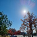 충북혁신도시 11호 근린공원 화장실 | 충북혁신도시 가볼만한 공원과 산책로
