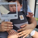 춘천호반(삼악산) | 🚡 춘천 삼악산호수케이블카 여행기 – 의암호 위를 나는 특별한 경치 / 할인꿀팁 /