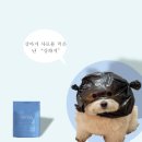 사달라PC | 146) [마케팅 부트캠프/퍼포먼스 마케터 취업 준비] 도와세움 디마에 85기 살려세움 입성기 - 12/Cereal