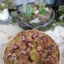 율이농장 이미지