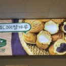 아띠몽목포종합버스
