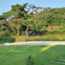 김작가의 낭만 풀빌라 이미지