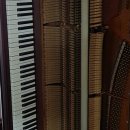 율하초등학교 앞 이미지