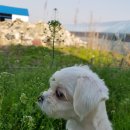 이삼두농장 | 충남 귀농귀촌학교 농업 교육 후기