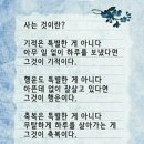 공존(共存) 이미지