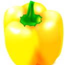 새싹의 아침 이미지