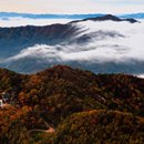 보훈 당구장 네이버블로그
