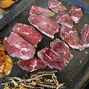 엉터리생고기두번째이야기