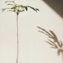 삼송로139번길 이미지