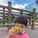 프라임상상유치원 이미지