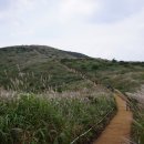 드림홈타운 Daum카페