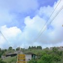 광선농장 이미지