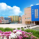 금정초등학교 이미지