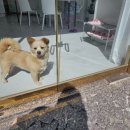 루미츄네일