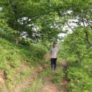 밤산농원 이미지