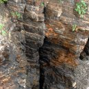 위드해지개 이미지