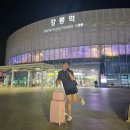 컴포즈커피(강릉역육거리점) | 일상 포토덤프 챌린지 7주차