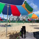 [양양] 2025년 멍비치 방문 후기